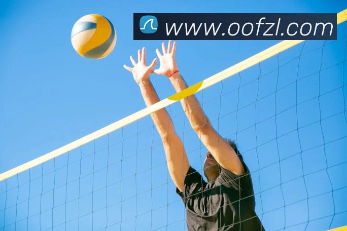 尊龙凯时APP 封面图